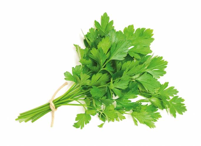 Pielęgnacja naturalnymi kosmetykami natka pietruszki