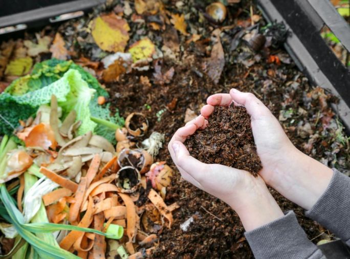 domowy kompostownik jak powstaje kompost