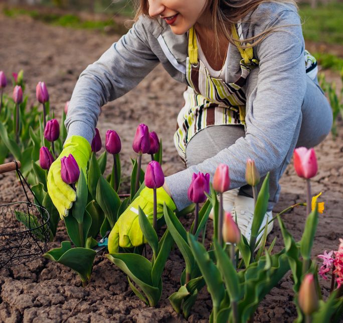kalendarz biodynamiczny marzec 2026