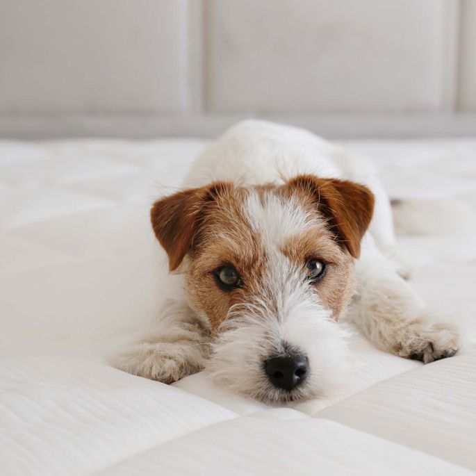 jaki materac wybrać