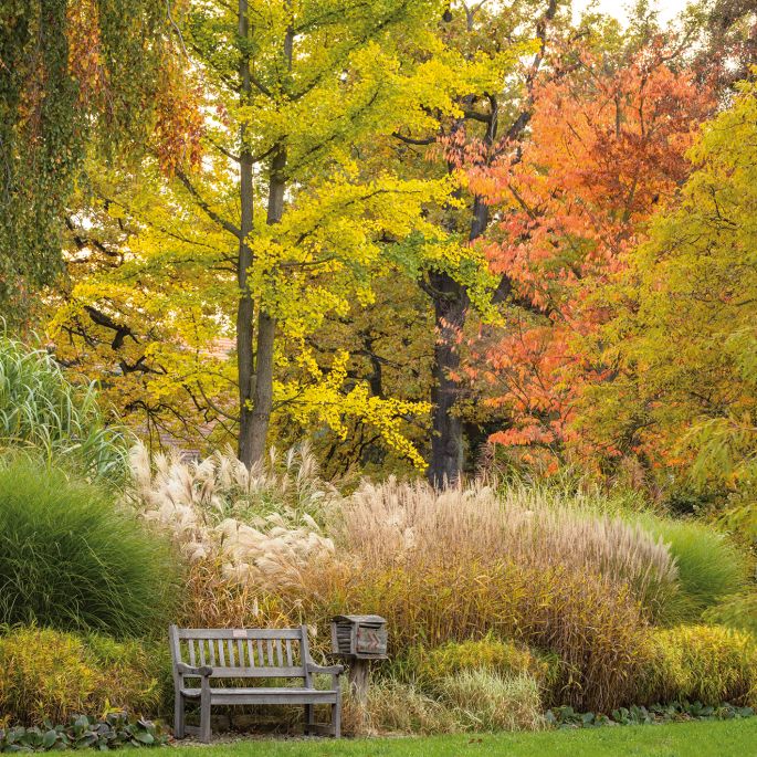 Magia jesieni w Arboretum Wojsławice – festiwal roślin i kolorów arboretum wojsławice