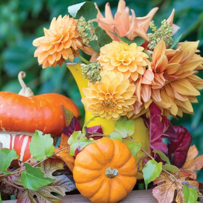 dekoracje z dyni i kwiatów