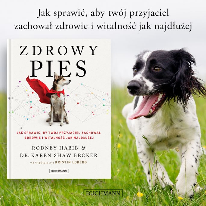 jak zapewnić psu długie i zdrowe życie