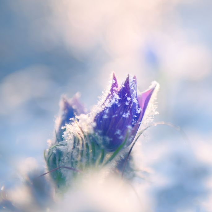 kalendarz biodynamiczny luty 2026