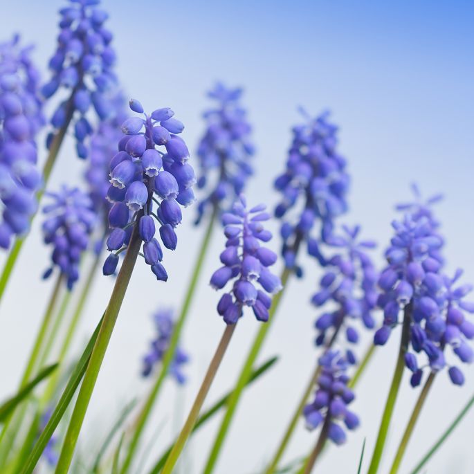 kalendarz biodynamiczny marzec 2026