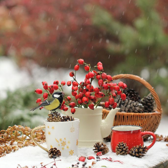 kalendarz biodynamiczny styczeń 2026