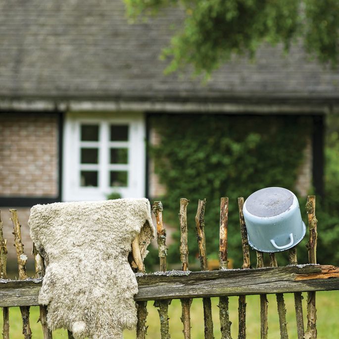 Klara i jej królestwo serów – opowieść z serca Mazur dom w lesie na mazurach