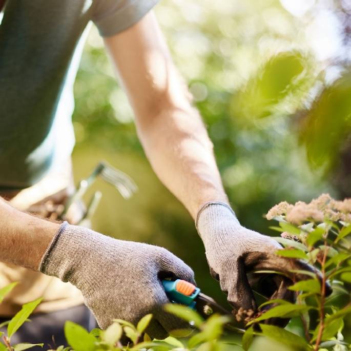 Podstawowe narzędzia ogrodowe – co warto mieć w domowym ogrodzie?