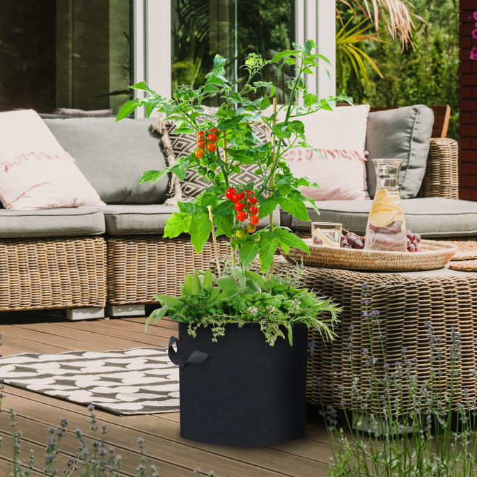 Jak sadzić pomidory krok po kroku – metoda, która odmieni Twój balkon w mini-farmę! pomidory gdzie sadzić