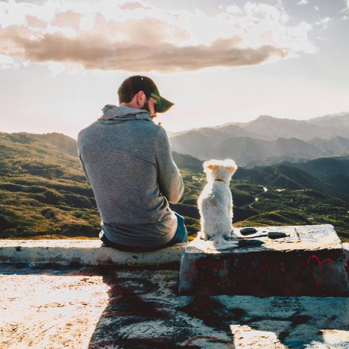 rozmowy ze zwierzętami