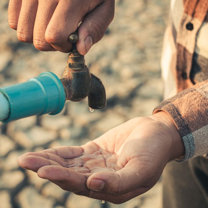 Deficyt wody spowodowany zmianą klimatu to poważny ekologiczny problem, który zagraża nam i przyrodzie. Jak sobie radzić z suszą? jak sobie radzić z suszą