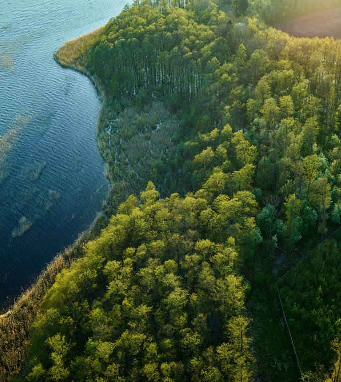 dzika natura
