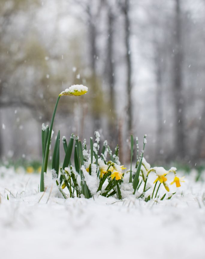 kalendarz biodynamiczny luty 2026