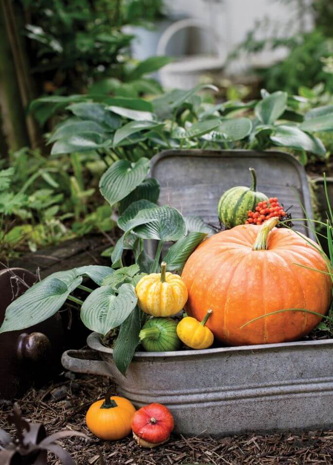 Dekoracje z dynii i ocynkowanej blachy