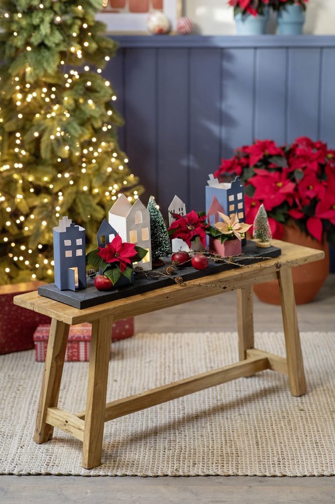 fot. Stars for Europe