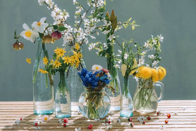 fot. Anita Austvika/ unsplash