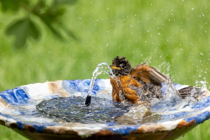 fot. shutterstock