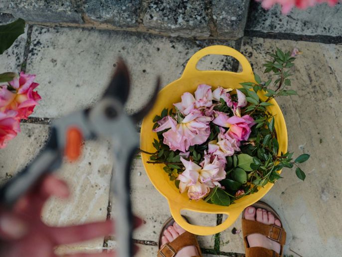 fot. Annie Spratt/ Unsplash