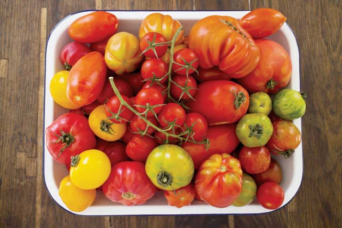 Projekt pomidor