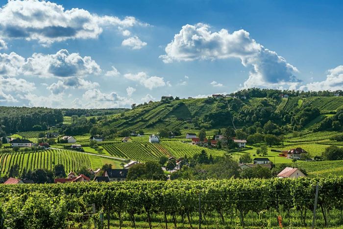 Wakacje w Austrii: co warto zobaczyć w Burgenlandzie? Wakacje w Austrii: co warto zobaczyć w Burgenlandzie?