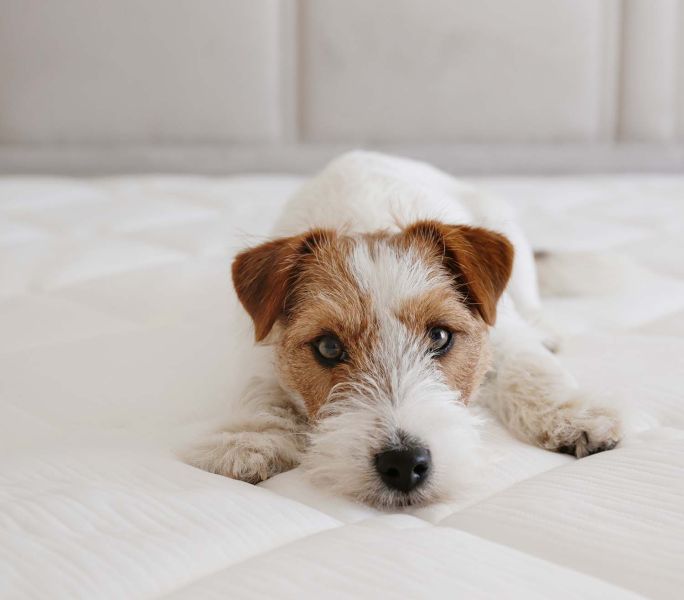 jaki materac wybrać