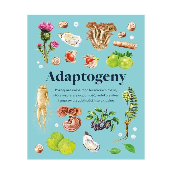 Koktajle mocy z adaptogenami – 6 przepisów na napoje, które podkręcą zdrowie i samopoczucie adaptogeny