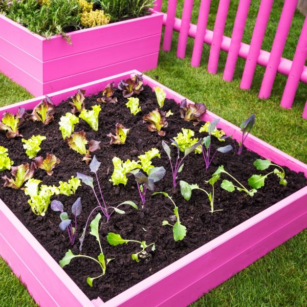 Jak oddzielić ogród warzywny od reszty ogrodu