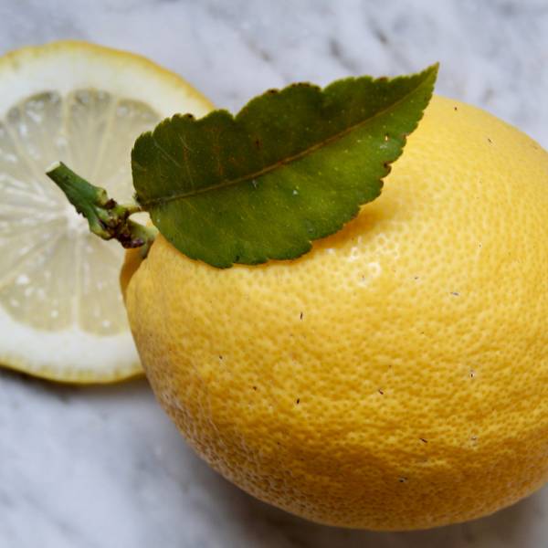 Jak wzmocnić odporność naturalnymi sposobami? Jak wzmocnić odporność naturalnymi sposobami?