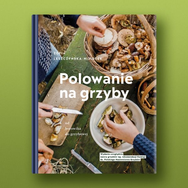 polowanie na grzyby