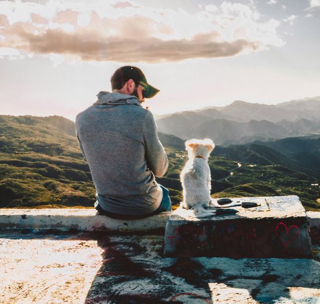 rozmowy ze zwierzętami