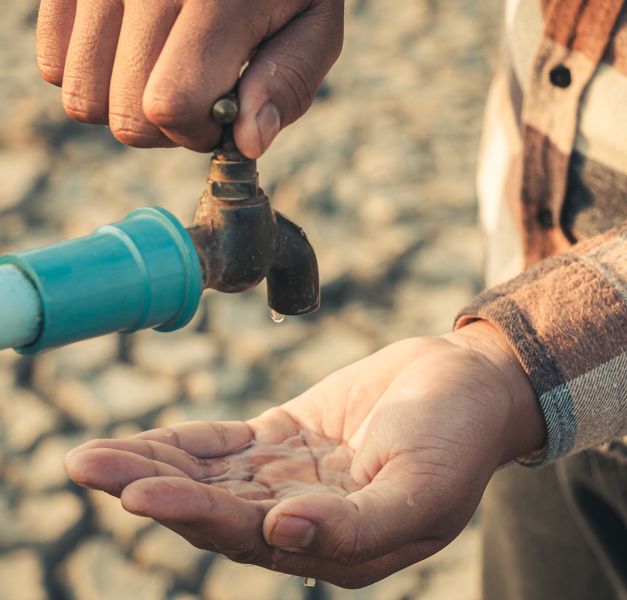 Deficyt wody spowodowany zmianą klimatu to poważny ekologiczny problem, który zagraża nam i przyrodzie. Jak sobie radzić z suszą? jak sobie radzić z suszą