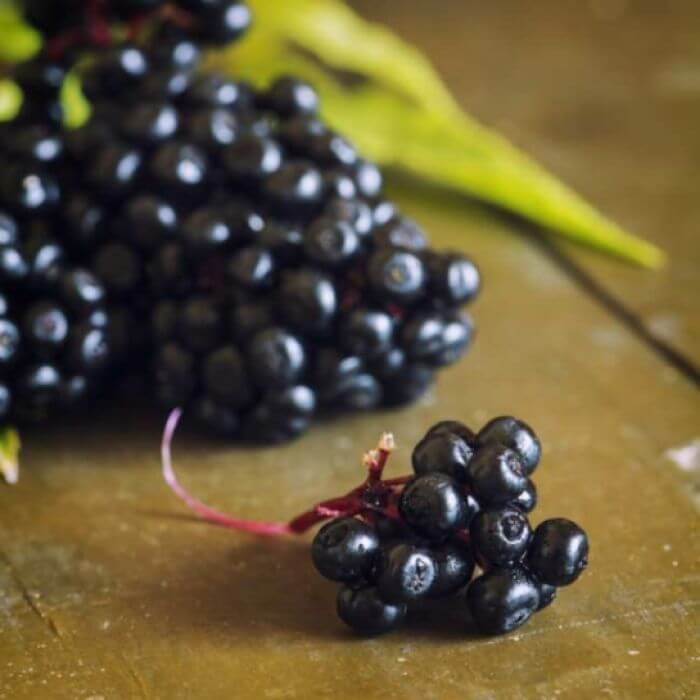 Na jesienną chrypkę