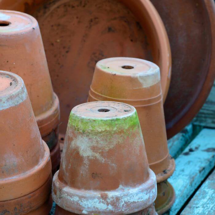 Jak samodzielnie odnowić doniczki ceramiczne