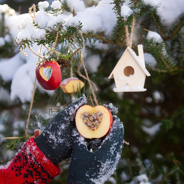 kalendarz biodynamiczny grudzień 2025