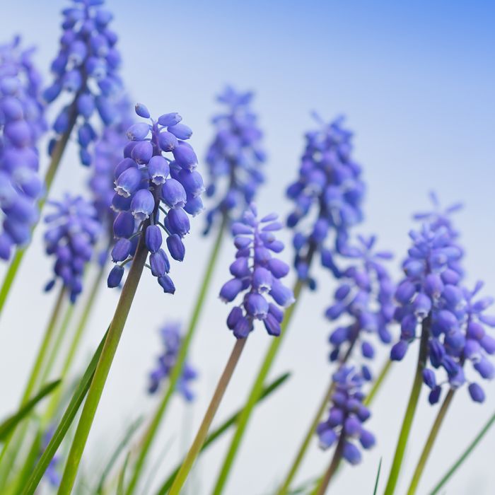 kalendarz biodynamiczny marzec 2026