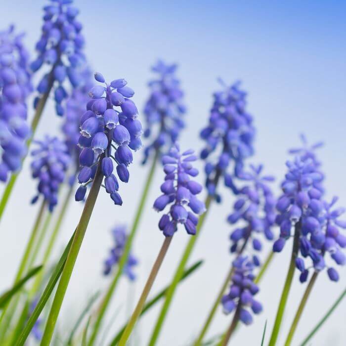 kalendarz biodynamiczny marzec 2026