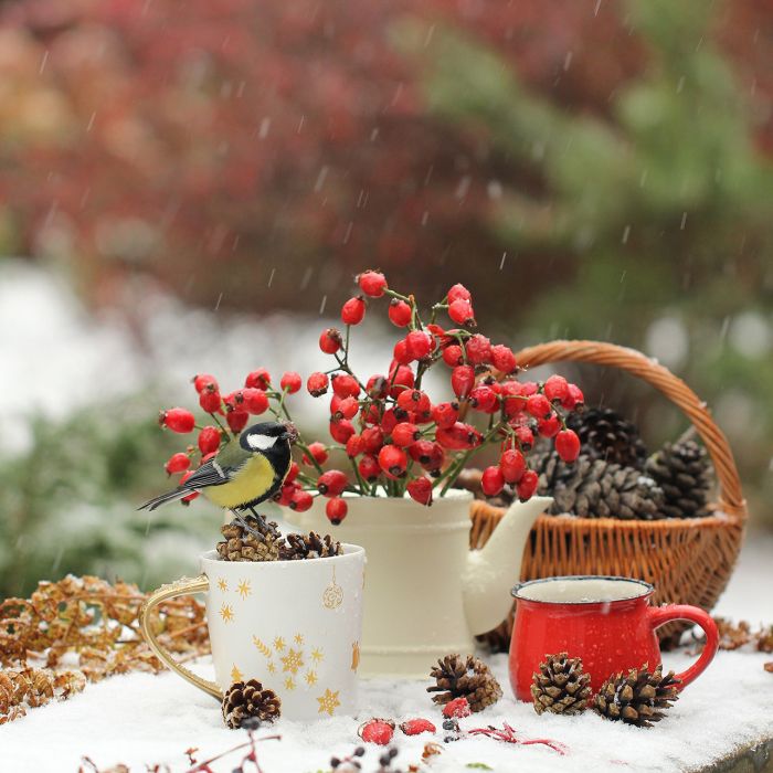 kalendarz biodynamiczny styczeń 2026