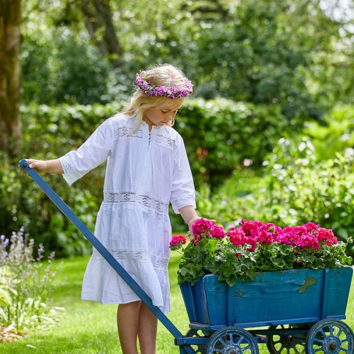 15 pomysłów na pelargonie – nie tylko w doniczce i na balkonie, zobacz nasze oryginalne aranżacje diy z tych kwiatów Pelargonie kompozycja rower