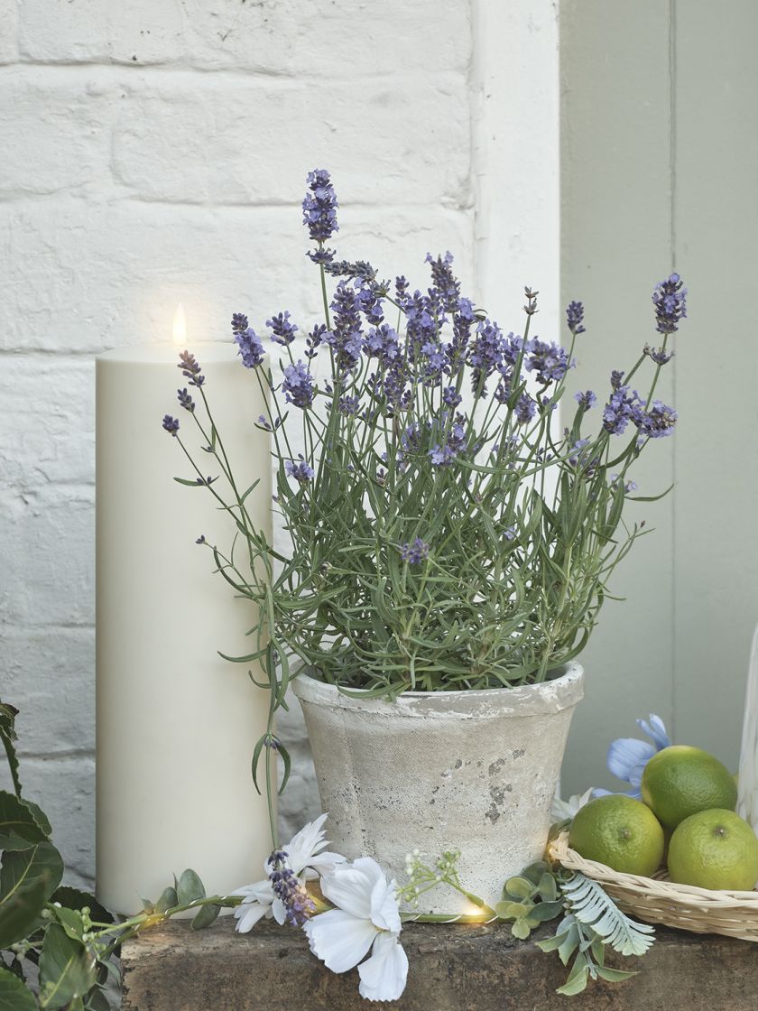 wiosenne dekoracje do ogrodu