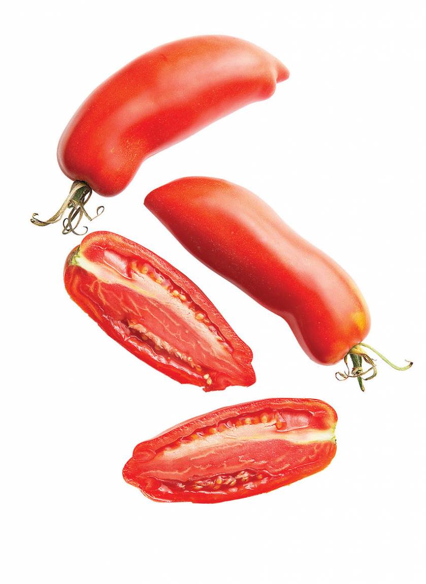 pomidory san marzano