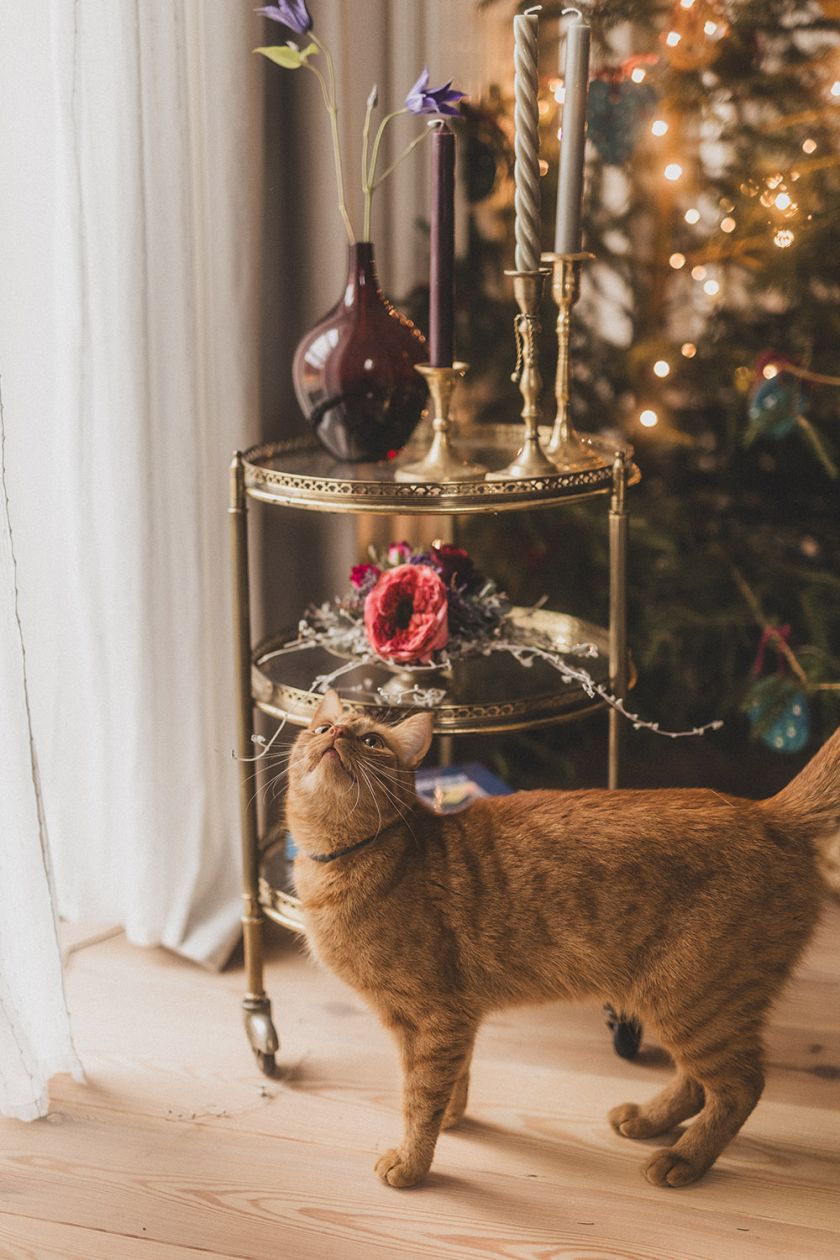 dekoracje bożonarodzeniowe