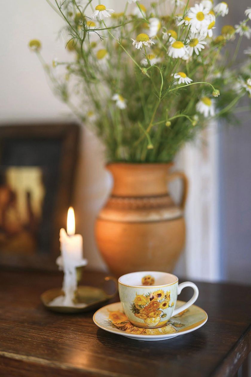 drewniany dom pod miastem