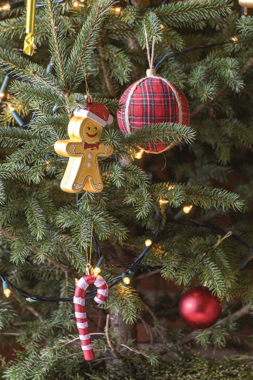 stary dom w bieszczadach