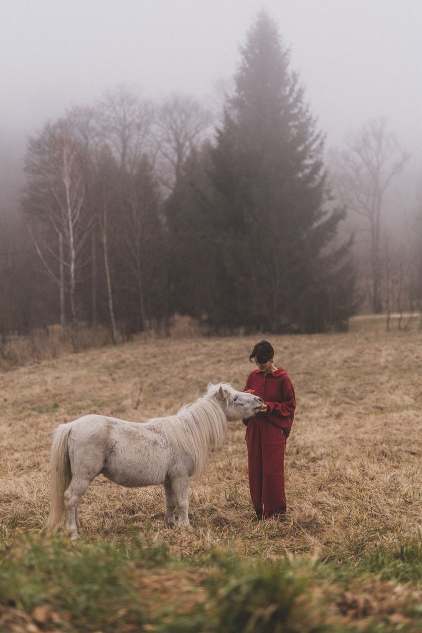 dekoracje bożonarodzeniowe