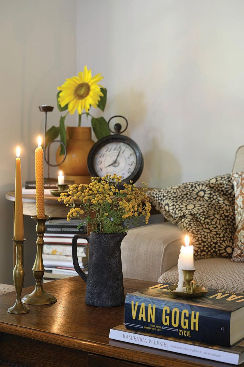 drewniany dom pod miastem