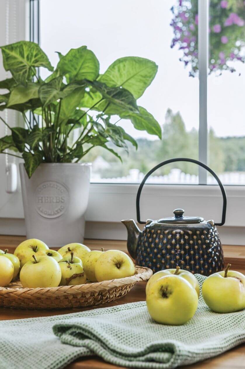 dom w stylu angielskim na Podlasiu okno