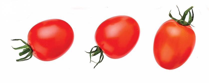 pomidorki cherry