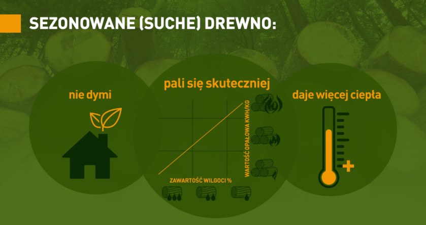 jakim drewnem palić w kominku