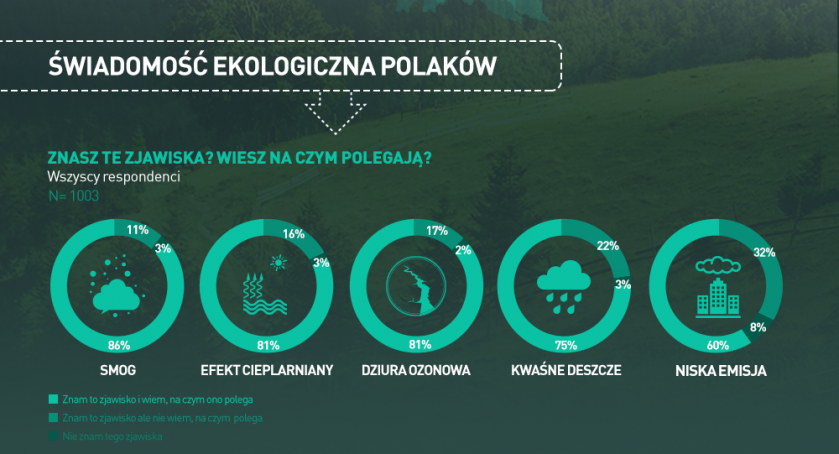 jak prawidłowo palić w kominku