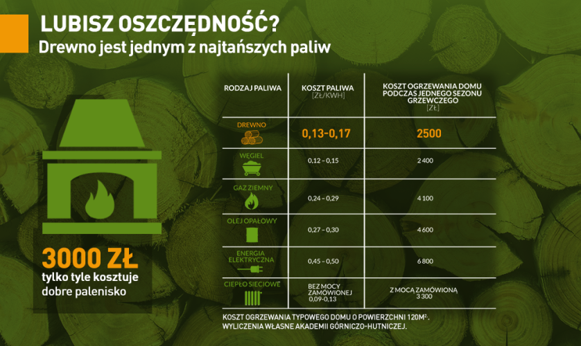 czy spalanie drewna jest ekologiczne